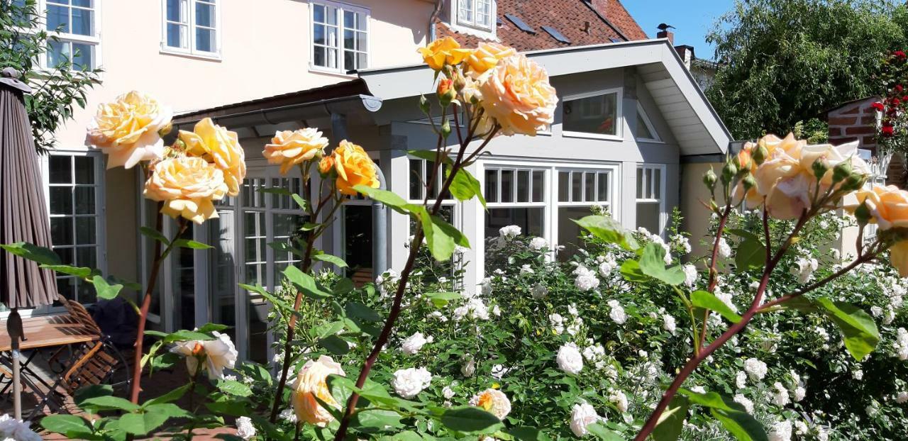 Apartment Terrace